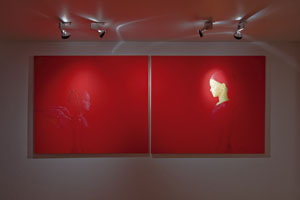 Photo location (1)